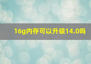 16g内存可以升级14.0吗