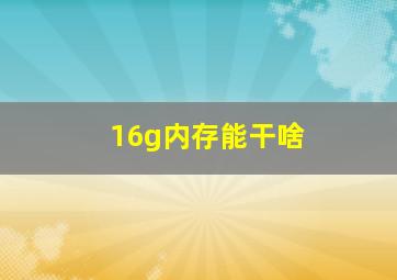 16g内存能干啥