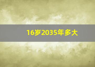 16岁2035年多大