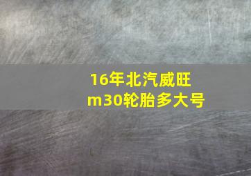 16年北汽威旺m30轮胎多大号