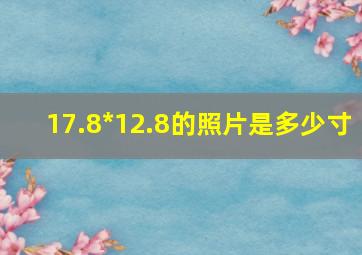 17.8*12.8的照片是多少寸