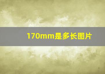 170mm是多长图片