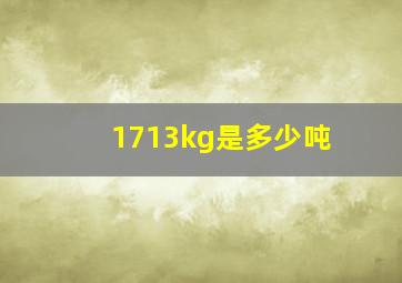 1713kg是多少吨