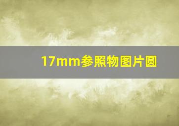 17mm参照物图片圆