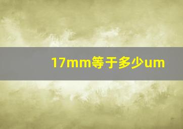 17mm等于多少um