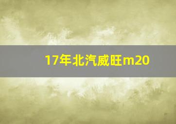 17年北汽威旺m20