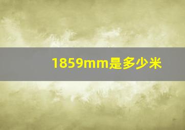 1859mm是多少米