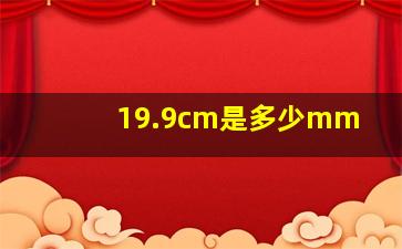 19.9cm是多少mm