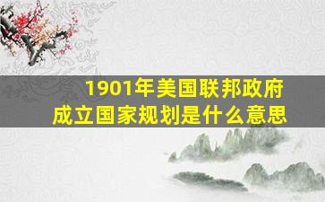 1901年美国联邦政府成立国家规划是什么意思