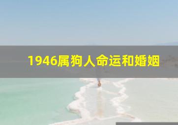 1946属狗人命运和婚姻