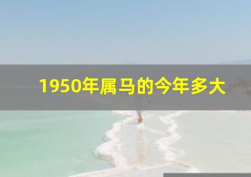 1950年属马的今年多大