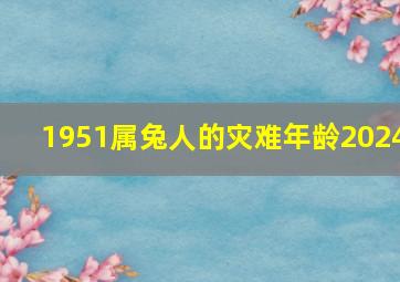 1951属兔人的灾难年龄2024