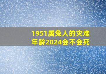 1951属兔人的灾难年龄2024会不会死