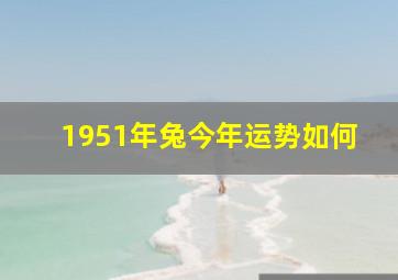 1951年兔今年运势如何