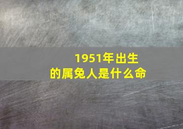 1951年出生的属兔人是什么命