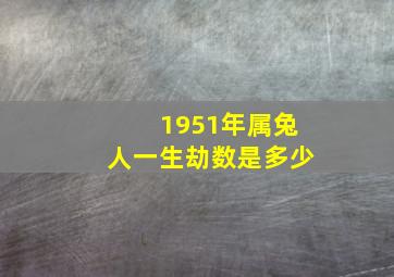 1951年属兔人一生劫数是多少