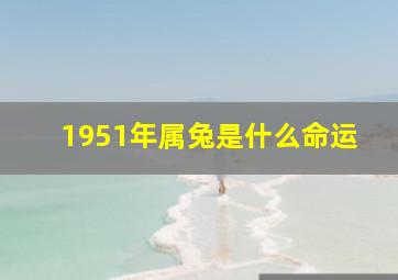 1951年属兔是什么命运