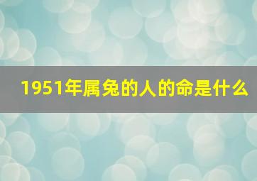 1951年属兔的人的命是什么