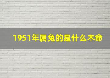 1951年属兔的是什么木命