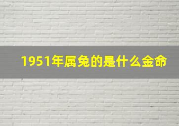 1951年属兔的是什么金命