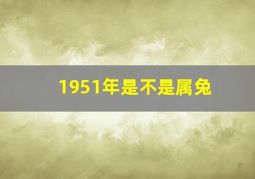 1951年是不是属兔