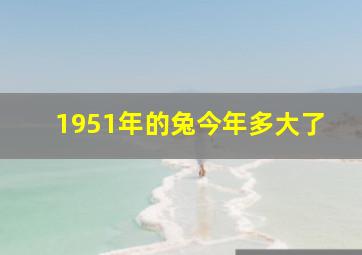 1951年的兔今年多大了