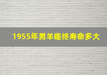 1955年男羊临终寿命多大