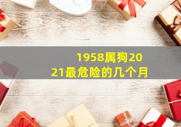 1958属狗2021最危险的几个月