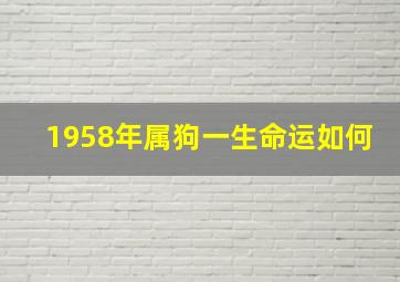 1958年属狗一生命运如何