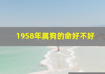 1958年属狗的命好不好