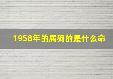 1958年的属狗的是什么命