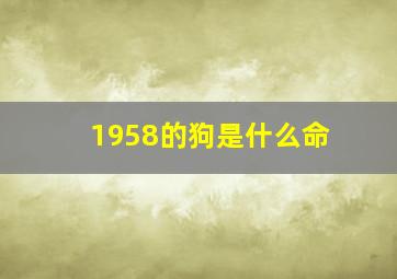 1958的狗是什么命