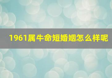 1961属牛命短婚姻怎么样呢