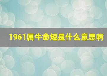 1961属牛命短是什么意思啊