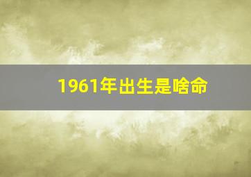 1961年出生是啥命