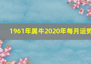 1961年属牛2020年每月运势