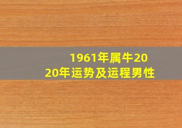 1961年属牛2020年运势及运程男性