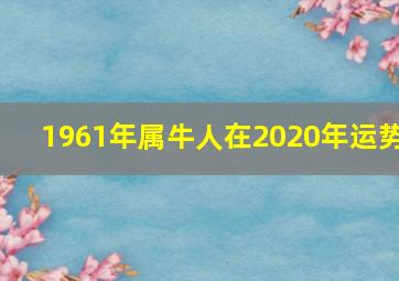 1961年属牛人在2020年运势