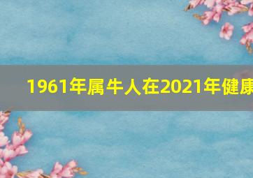 1961年属牛人在2021年健康