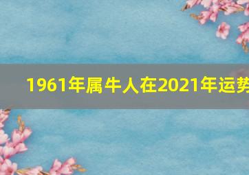 1961年属牛人在2021年运势