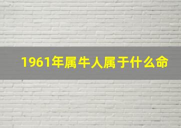 1961年属牛人属于什么命