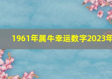 1961年属牛幸运数字2023年