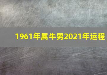 1961年属牛男2021年运程