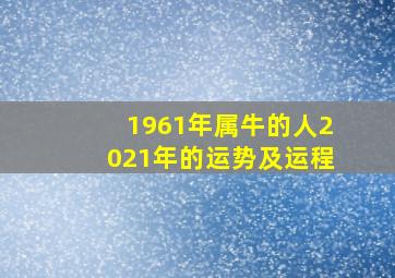 1961年属牛的人2021年的运势及运程