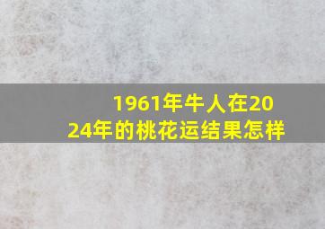 1961年牛人在2024年的桃花运结果怎样