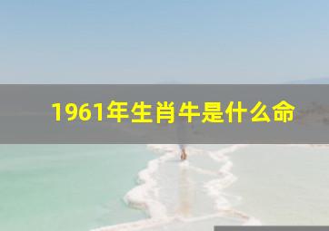 1961年生肖牛是什么命