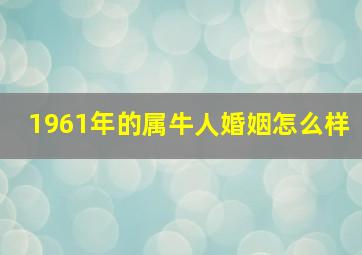 1961年的属牛人婚姻怎么样