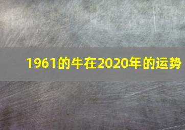 1961的牛在2020年的运势