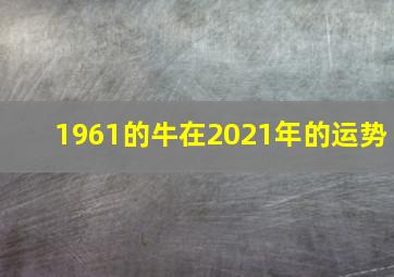 1961的牛在2021年的运势