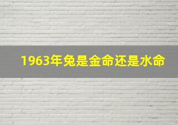 1963年兔是金命还是水命